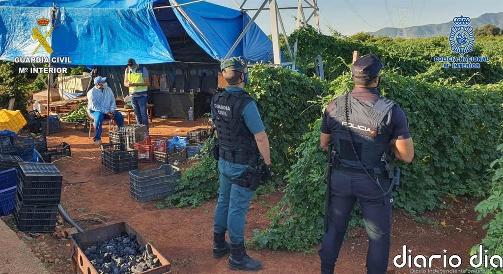 Desmantelada en Castellón una red de explotación laboral a extranjeros en el campo y detenidas 3 personas