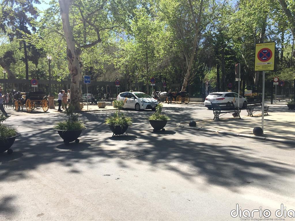 El Ayuntamiento de Sevilla valora del Plan Respira su "total transparencia" y el proceso participativo