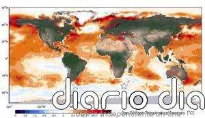El calentamiento del océano extiende los rigores del clima tropical