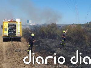 El Consorcio de Bomberos de Cádiz actúa en varios incendios de pasto, cañaveral y un pajar en Chiclana y Bornos