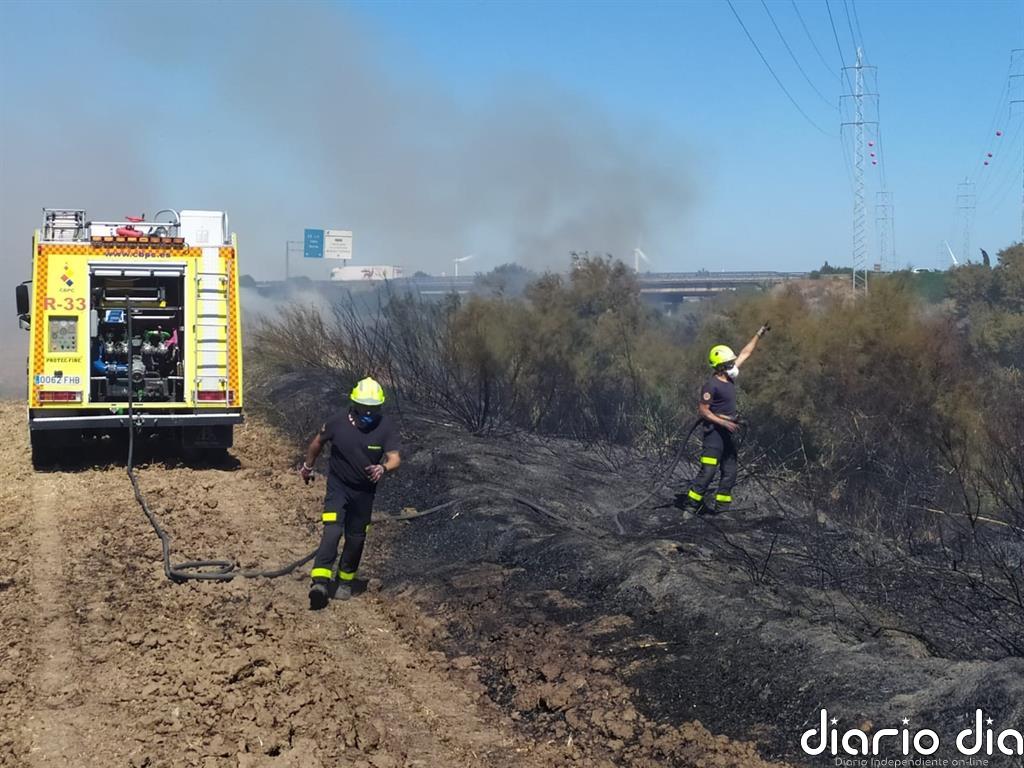 El Consorcio de Bomberos de Cádiz actúa en varios incendios de pasto, cañaveral y un pajar en Chiclana y Bornos