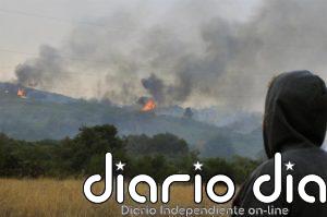 El fuego arrasa más de 53.000 hectáreas en lo que va de año en España en unos 6