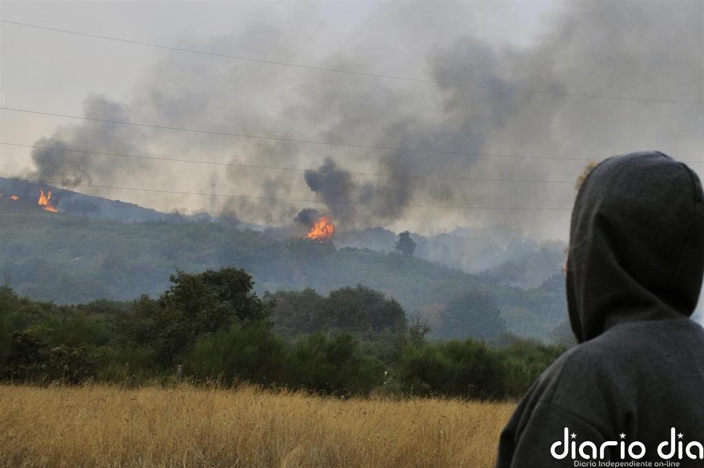El fuego arrasa más de 53.000 hectáreas en lo que va de año en España en unos 6
