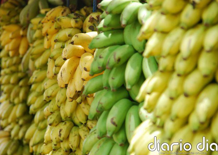 Algunas recetas con plátanos maduros que te van a encantar