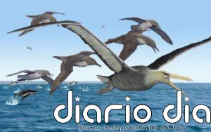 Aves gigantes surcaron los océanos australes hace 50 millones de años