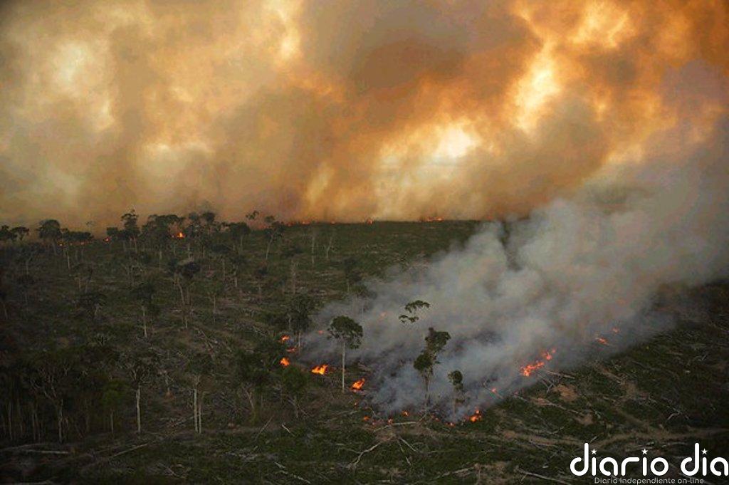 Brasil asegura que el tratado UE-Mercosur no supone una amenaza para el medio ambiente