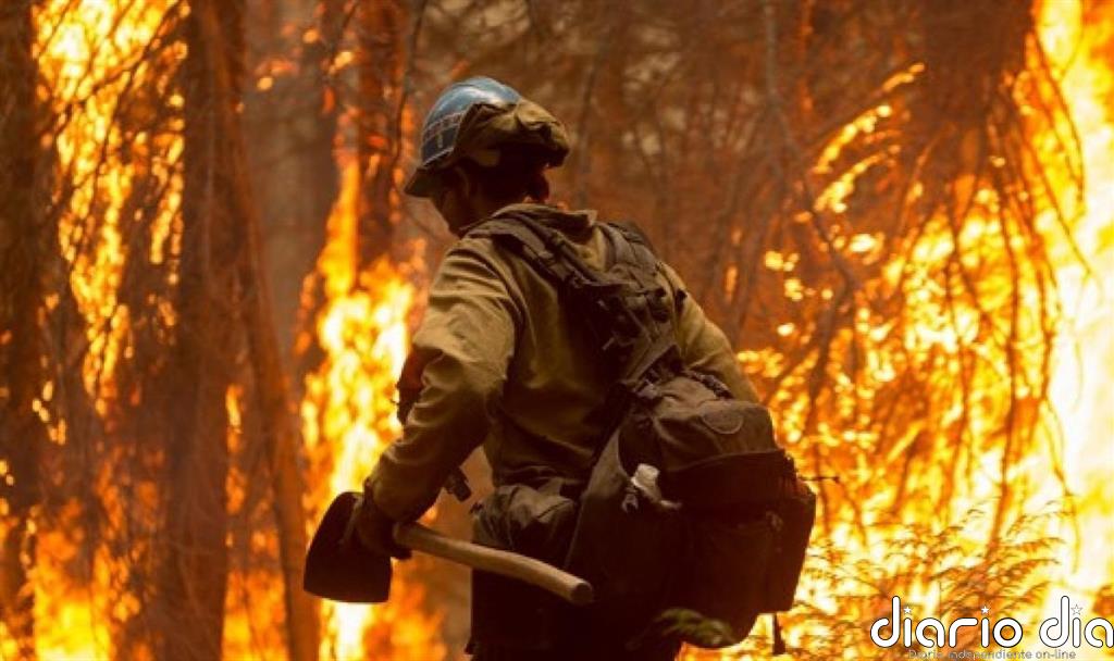 CCOO pide al Ministerio que llame a sindicatos para establecer los requisitos mínimos del estatuto de bombero forestal