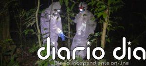 Cientos de miles de virus diferentes están al acecho