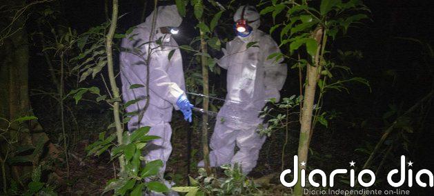 Cientos de miles de virus diferentes están al acecho