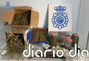 Desalojan un cumpleaños en Alcázar con 14 personas y requisan medio kilo de marihuana y 10 gramos de cocaína