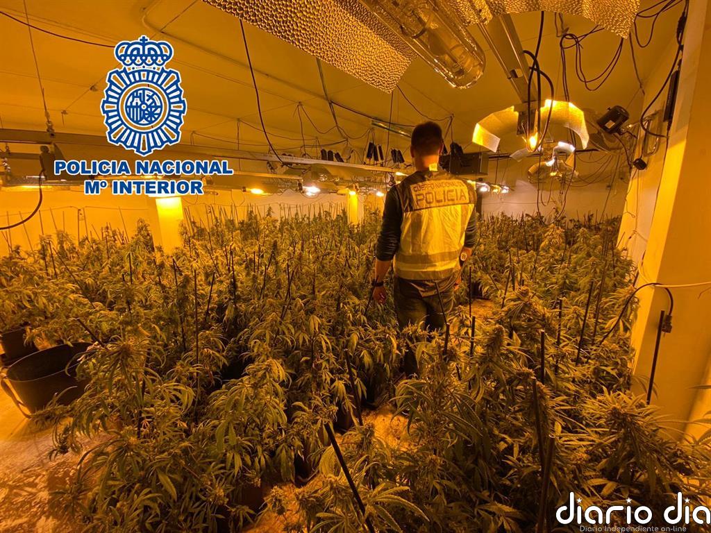 Desmantelan dos plantaciones de marihuana en la Nucia y Altea la Vella y detienen a sus responsables