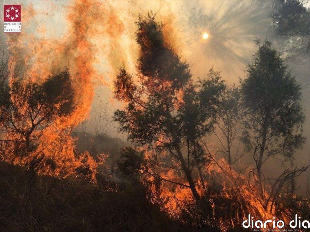 El incendio forestal declarado en Bejís, estabilizado