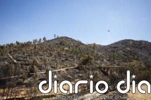 El PSOE destaca que el Gobierno destine un millón a reforestar la zona afectada por el incendio de Almonaster (Huelva)