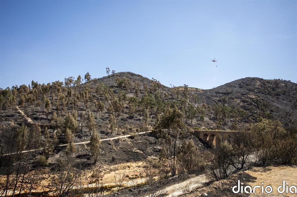 El PSOE destaca que el Gobierno destine un millón a reforestar la zona afectada por el incendio de Almonaster (Huelva)