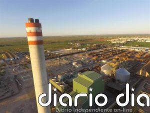 Ence registra pérdidas de 42 millones a septiembre lastrado por los bajos precios de la celulosa