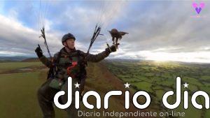 Este hombre se da un paseo en parapente con su mascota: un halcón