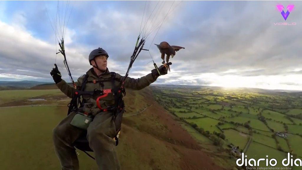 Este hombre se da un paseo en parapente con su mascota: un halcón