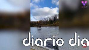 Este vídeo de un alce "caminando" sobre las aguas de un río en Alaska se ha hecho viral