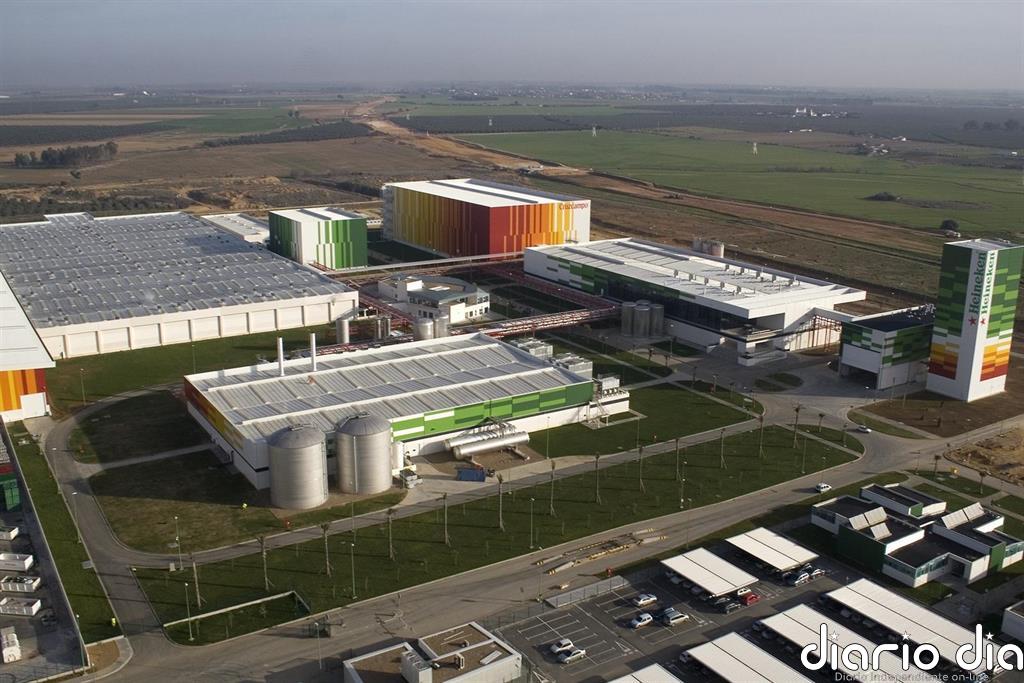 Heineken llevará a cabo un ajuste de plantilla en 2021 tras ganar un 76% menos hasta septiembre