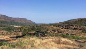 Paisaje del Cerrado, un ecosistema de sabana tropical de Brasil amenazado por el avance de la agricultura extensiva. De acuerdo con un estudio de investigadores de 12 países, la restauración de estepas y sabanas en Sudamérica y África aporta importantes beneficios para la biodiversidad. Foto: Luís Felipe Figueiredo/Flickr