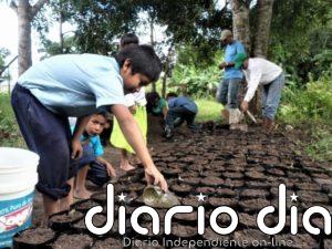 Indígenas kariña desarrollan empresa forestal en Venezuela