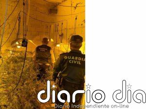 Investigan a un vecino de Lopera (Jaén) acusado de cultivar marihuana en una cochera