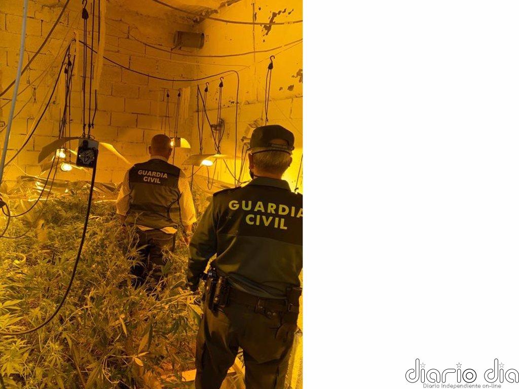 Investigan a un vecino de Lopera (Jaén) acusado de cultivar marihuana en una cochera