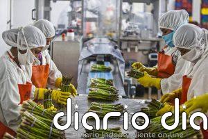 La crisis será más larga de lo esperado en América Latina