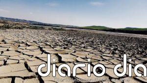 Las pandemias serán peores en el futuro si no hay un cambio en las actividades humanas