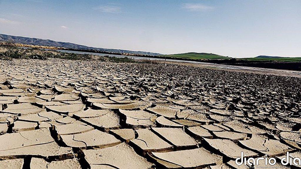 Las pandemias serán peores en el futuro si no hay un cambio en las actividades humanas