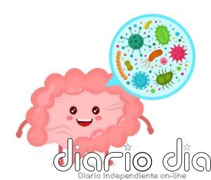 Los 8 puntos básicos que debes conocer sobre tu microbiota, "el órgano olvidado"