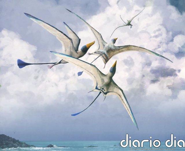 Los lagartos alados perfeccionaron el vuelo durante millones de años Rhamphohynchus: una de las 75 especies de pterosaurios estudiadas por los investigadores