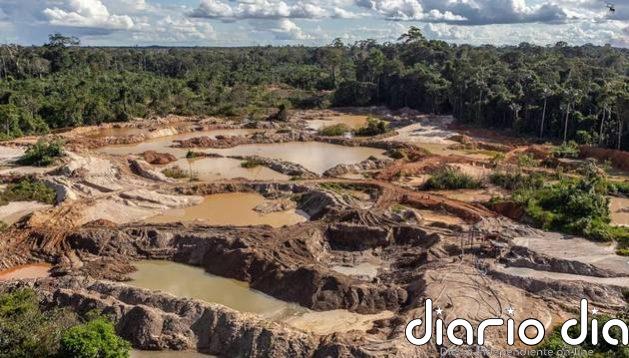 Minería, otro factor para la deforestación amazónica