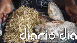 Necesidad de alimentos baratos amenaza la pesca en Zimbabwe