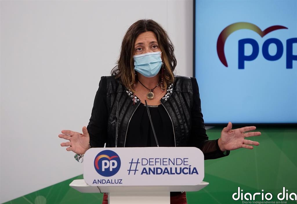 PP-A: Los PGE son "humo", "castigan a Andalucía" y serán "el polo opuesto" a los Presupuestos de la Junta