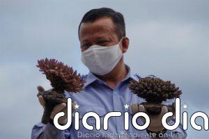 Acusan al ministro indonesio de Pesca por avalar la exportación ilegal de langosta a cambio de 580