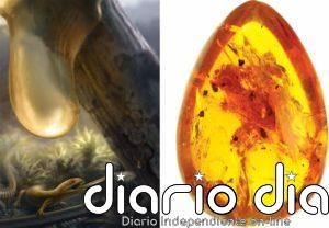 Anfibios precedieron al camaleón en la caza con lengua proyectable