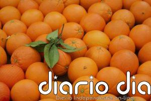 Asaja señala que la recolección de la naranja en la Vega del Guadalquivir se encuentra al 15-20%