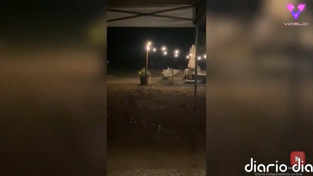 Así llama esta dueña a su perro sordo para que vuelva a casa