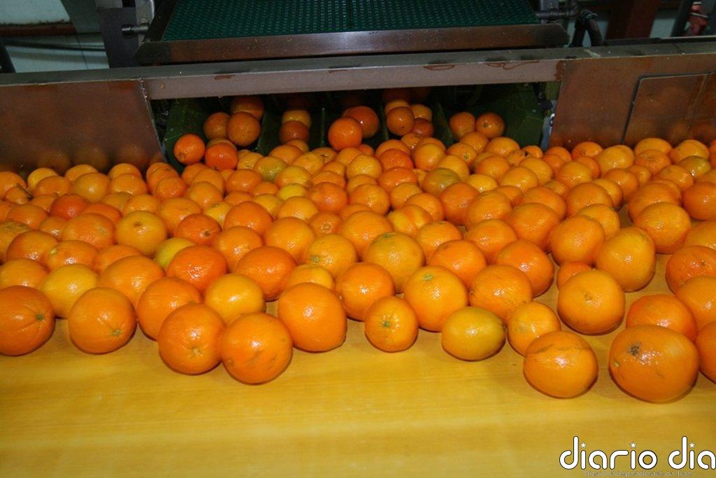 Ava-Asaja valora la rectificación del Ministerio de Consumo sobre la subida del IVA al zumo de naranja