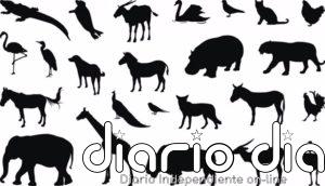 Biodiversidad de vertebrados: un rayo de esperanza