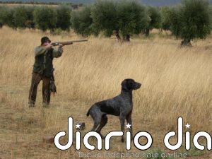 C-LM permitirá acceder a su territorio para cazar pese al cierre perimetral y declara 8 especies como caza necesaria