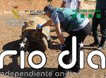 Cae una red de traficantes de animales que vendían tortugas de 30