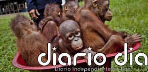 Cambio climático y más cultivos diezmarán los hábitats naturales