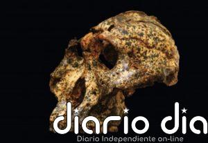 Cambios evolutivos a pequeña escala observados en humanos extintos