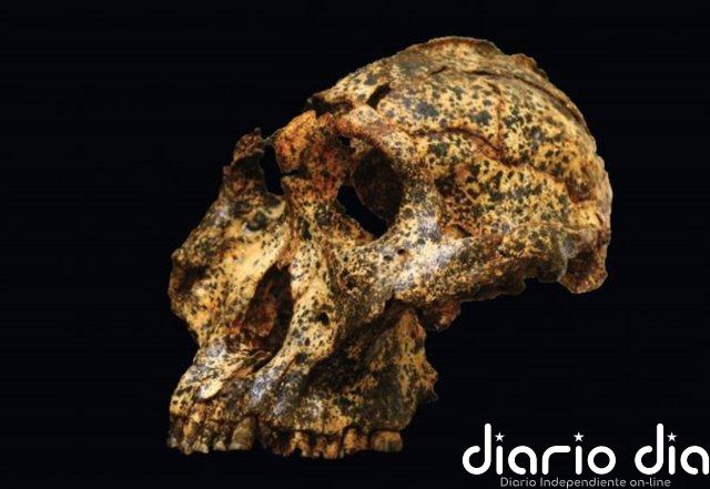 Cambios evolutivos a pequeña escala observados en humanos extintos
