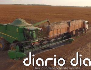 Cargill vende sus operaciones en Venezuela a Phoenix Global Investment y Grupo Puig