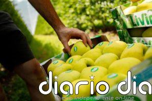 Carrefour Brasil multiplica sus ganancias hasta septiembre, con 272 millones de euros