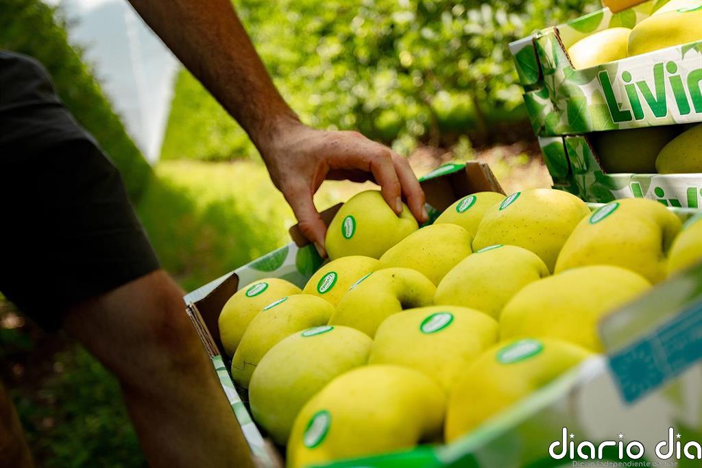 Carrefour Brasil multiplica sus ganancias hasta septiembre, con 272 millones de euros