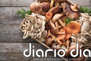 Carrefour comercializa más de 1